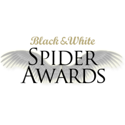 thespiderawards.com